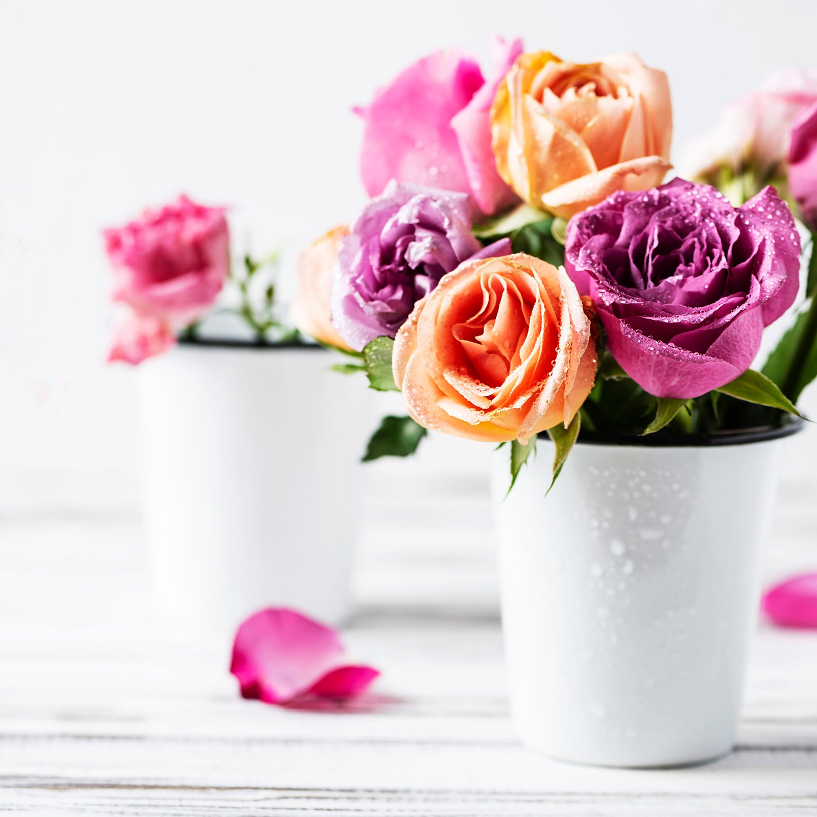 Vibrant mixed rose bouquet by Elandra flowers, best flower shop in Dubai