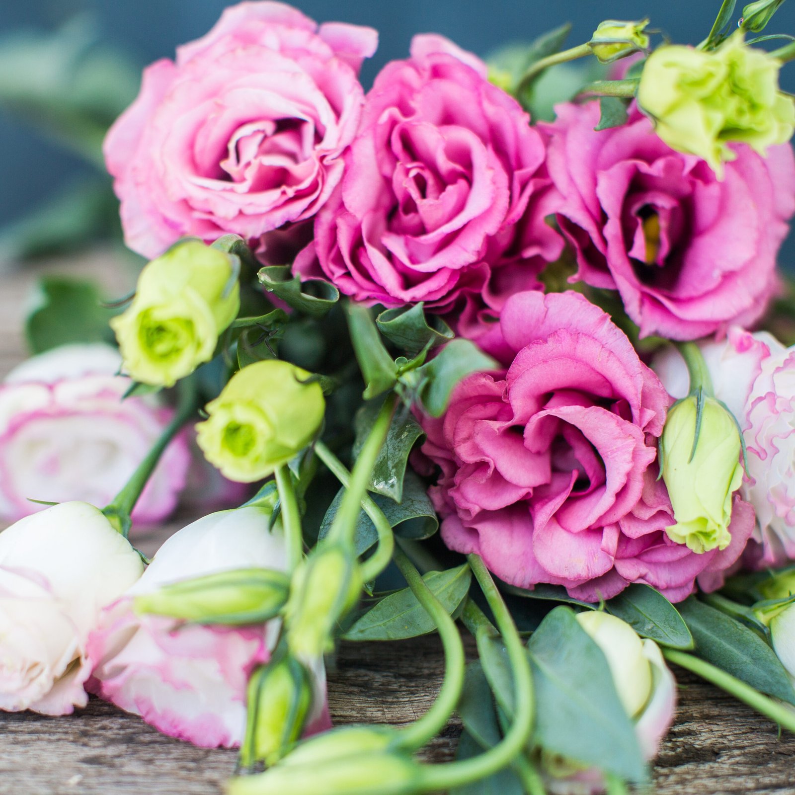 Lisianthus flower arrangement by Elandra flowers – Best flower shop in Dubai