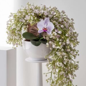 Single white or light purple orchid by Elandra flowers, best flower shop in Dubai