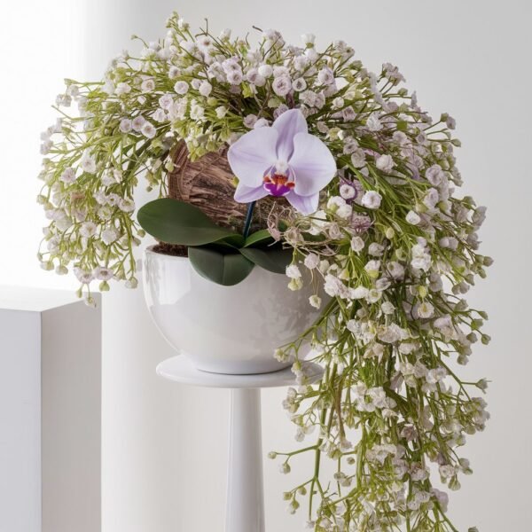 Single white or light purple orchid by Elandra flowers, best flower shop in Dubai
