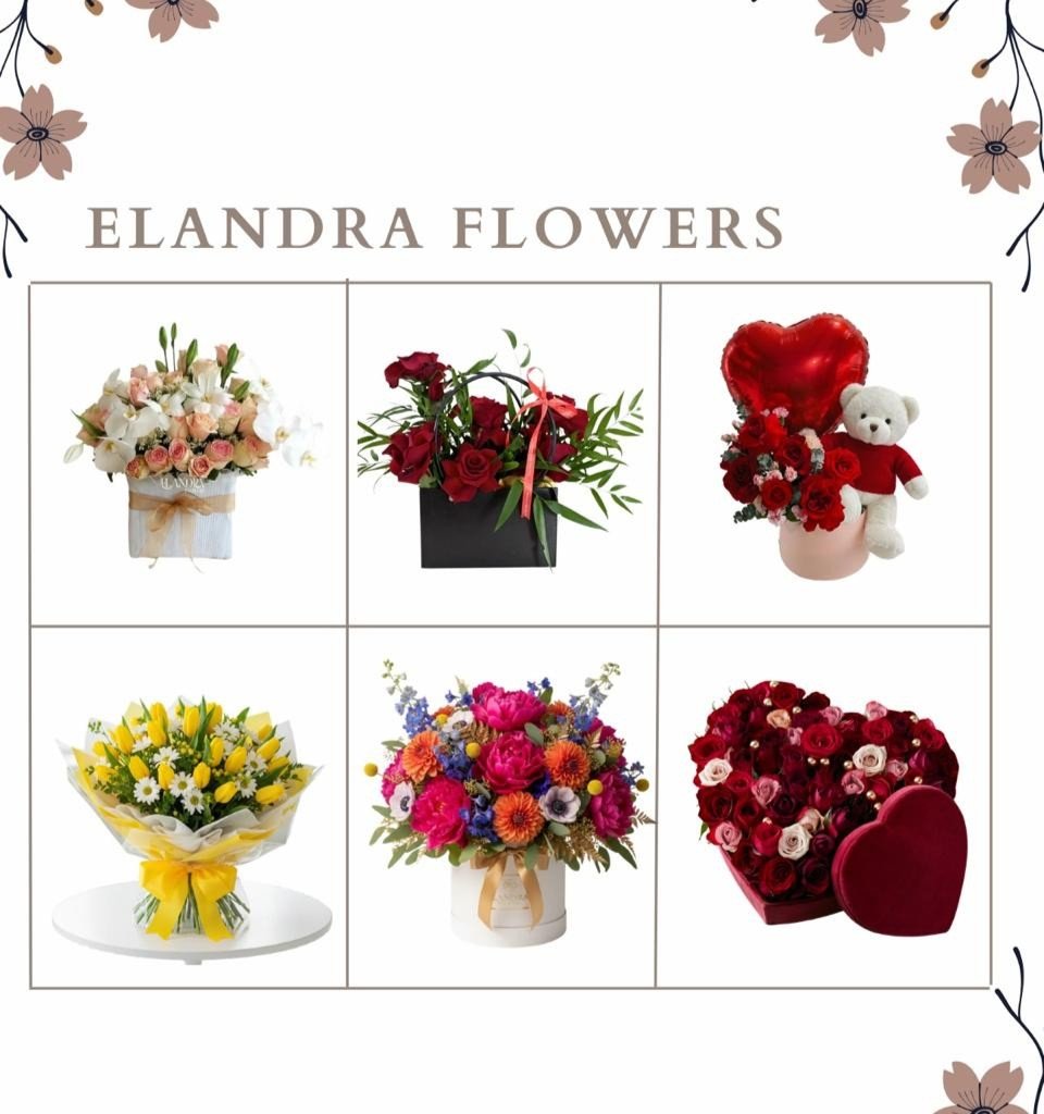 WhatsApp Image 2026-02-25 at 13.432.50